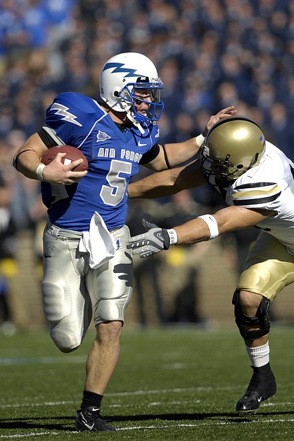 球隊的整體 球隊的整體